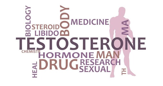 Hormone testosterone tags with silhouette of muscular man. Typography animation, consisting of important words and concepts. 3D render