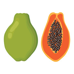 Vector illustration of set papaya fruit whole and sliced. Illustration in cartoon flat style, Carica papaya healthy food for diet vegan isolated white background. Elements for logo,