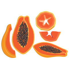 Vector illustration of set papaya fruit whole and sliced. Illustration in cartoon flat style, Carica papaya healthy food for diet vegan isolated white background. Elements for logo,
