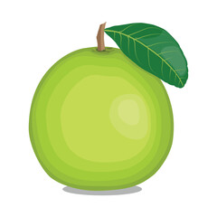 Vector illustration green and yellow pomelo in cartoon flat style. Pomelo orange tropical fruit isolated on white background, fresh food for diet, agricultural product, gardening farmer