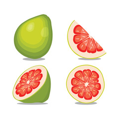 Vector illustration red, green and yellow pomelo in cartoon flat style. Grapefruit orange tropical whole and sliced isolated on white background, fresh food nature, agricultural tropical product