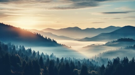 Beautiful landscape in the mountains at sunrise. View of foggy hills covered by forest. Filtered image:cross processed retro effect.