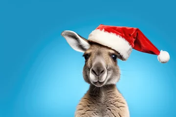 Fotobehang Kangaroo wearing a Christmas hat. Posing on blue background, funny looking. Celebrating Christmas concept © fogaas