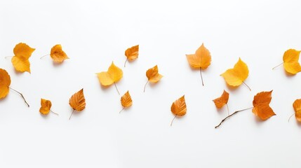 Isolated leaves. Collection of multicolored fallen autumn leaves isolated on white background created with Generative AI technology