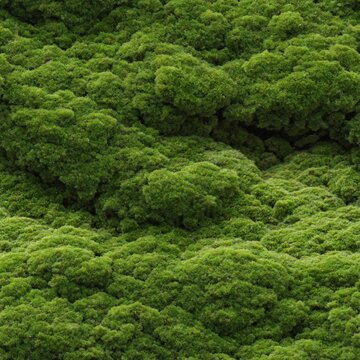 Moss