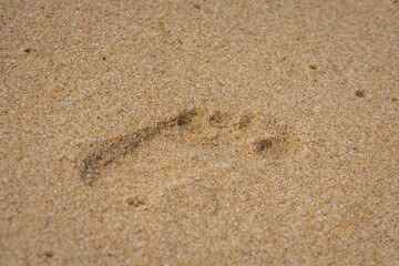 Fototapeta na wymiar A child's footprint on the sand, concept