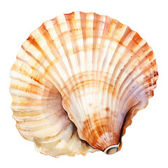 Fototapeta premium beautiful shell watercolor illustration, generative AI