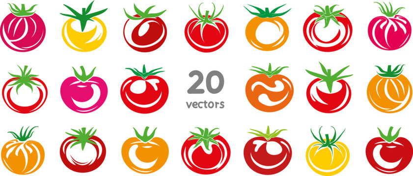 ripe tomatoes collection of tomato vector images