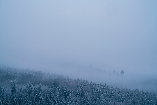 Germany, White snow trees black forest schwarzwald mountains snowy forest ice cold winter morning panorama view above tree tops