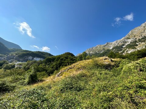Montagna: paesaggio alpino d’estate tra boschi, vegetazione spontanea, rocce e sentieri