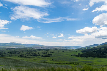 Fototapeta na wymiar Prairie Views of Yellowstone National Park in Summer 