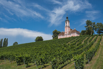 Fototapeta na wymiar Bodensee, Weinberg bei der Kirche Birnau
