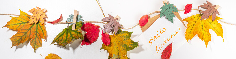 Creative autumn border with fall leaves