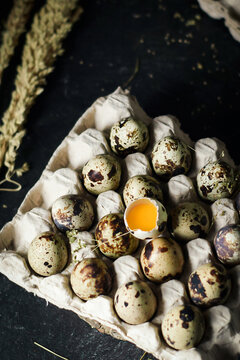 raw quail eggs in egg trays cardboard on dark and texture background. one egg are broken. fresh raw quail eggs in package for sale.