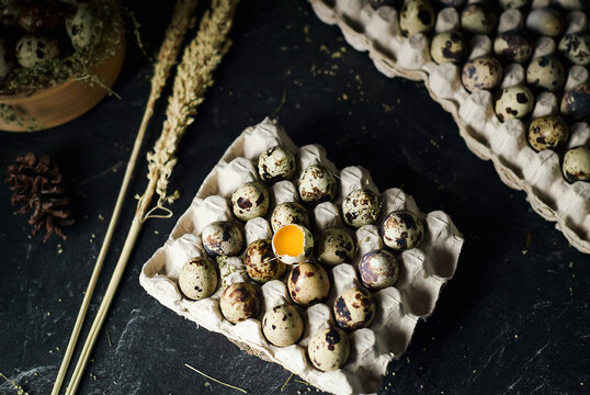 raw quail eggs in egg trays cardboard on dark and texture background. one egg are broken. fresh raw quail eggs in package for sale.