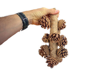 hand holds, a bird toy, made of cones, a cylinder made of rope, a toy delicacy for birds. Cones,...