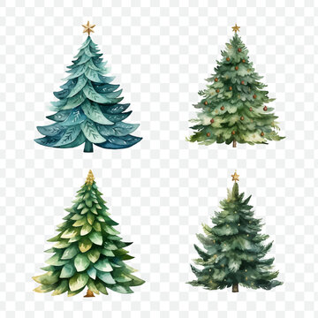 Christmas tree watercolor isolated graphic transparent
