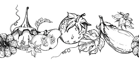 Hand drawn ink vector pumpkin gourd squash flower, tendrils and leaf. Seamless border. Sketch illustration art for harvest, farming. Design for restaurant menu print, cafe, website, wedding invitation