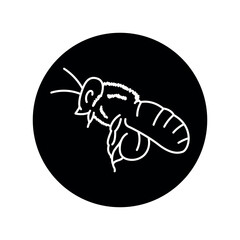 Bee black line icon.