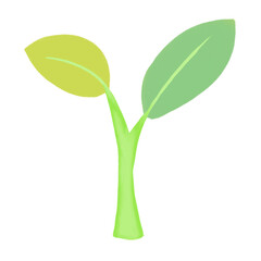 Baby tree or green tree 