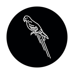 Ara parrot black line icon.