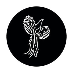 Bird of Paradise black line icon.