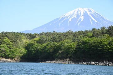 精進湖から望む富士山