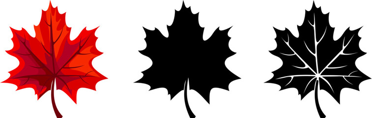 Naklejka premium Maple leaves. Autumn red maple leaf and black silhouettes of maple leaves isolated on a white background. Vector illustrations