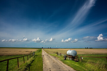 Fields behind the inner dike in the Groningen polder near Uithuizen.