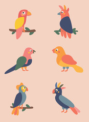 cute set of colorful parrots