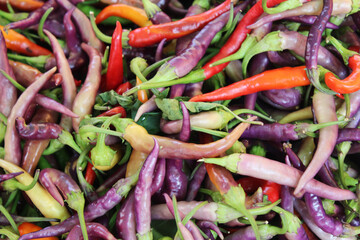 natural background of red green and purple peppers
