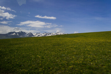 green field and sky