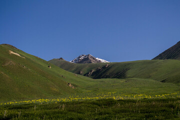landscape in the mountains