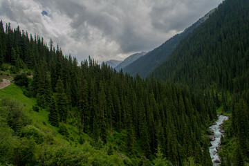 landscape with trees and clouds