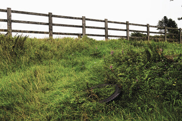 Overcast sky overlooking a sloping terrain with a weathered wooden fence, old tire, and vibrant...