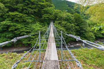 Fototapeta na wymiar 森の吊り橋