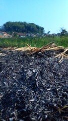 Obraz premium wooden house