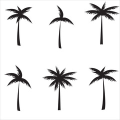 Black palm trees silhouette.Vector.