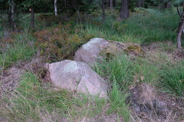 Fototapeta na wymiar FU 2022-08-02 HeideHin 572 Im Gras liegen große Steine