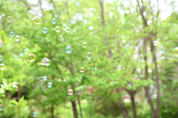 シャボン玉が美しい