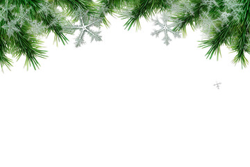 border of isolated green Christmas tree branches at the edge on transparent background with sparkling white snowflakes on white background with copy space PNG