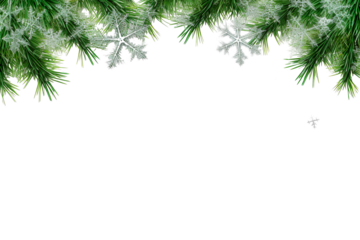 border of isolated green Christmas tree branches at the edge on transparent background with sparkling white snowflakes on white background with copy space PNG