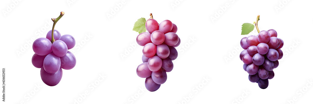 Poster single grape on transparent background