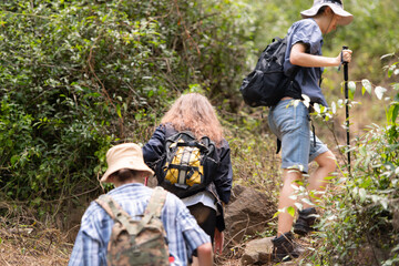 Group of friend on a sunny day in the forest Young group hiker with backpack and trekking poles