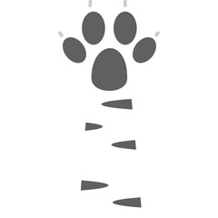 Cat Paw Illustration