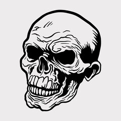 human skull vector illustration mascot