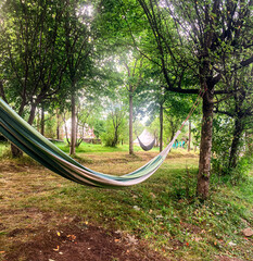 Hammock hanging on a tree in a campsite