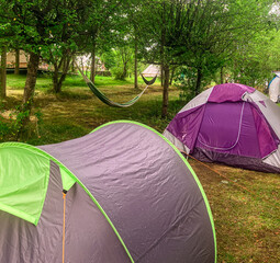 Tents installed in the campsite in summer