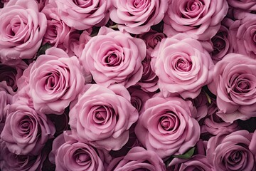 Naklejka premium beautiful pink roses wallpaper illustration
