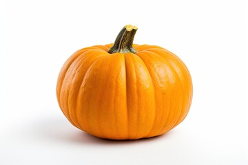 Vibrant autumn delight. Pumpkin on white background isolated. Ripe pumpkins for halloween